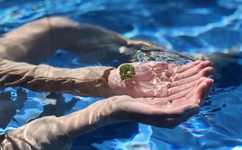 暖暖直播免费观看日本在线